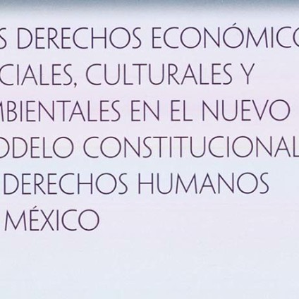 Los Derechos Económicos, Sociales, Culturales y Ambientales en el Nuevo Modelo Constitucional de Derechos Humanos en México