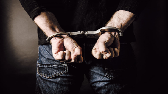 Patrulla Fronteriza arresta a 85 delincuentes en 8 meses