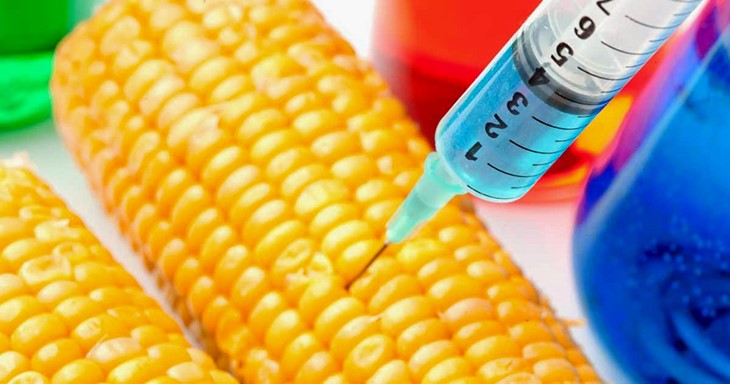 foro jurídico México prohíbe maíz transgénico 