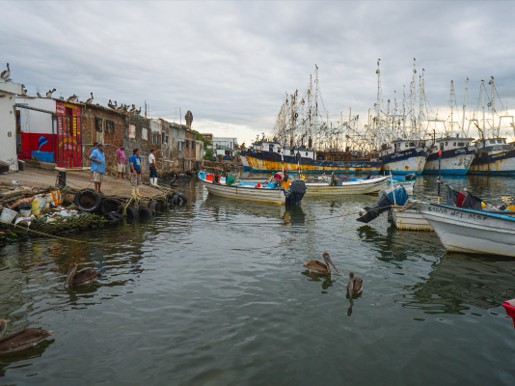 foro jurídico Oceana presenta amparo para rescatar los mares mexicanos