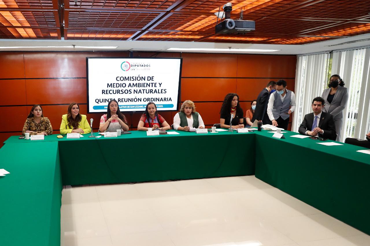 La Comisión de Medio Ambiente solicitará a Semarnat información sobre el tramo 5 del Tren Maya