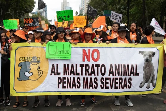 foro jurídico Marcha en defensa de los animalitos
