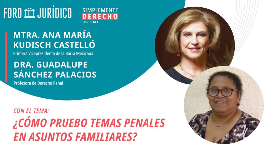 foro jurídico Cómo pruebo temas penales en asuntos familiares