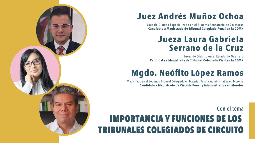 Tribunales Colegiados de Circuito funciones e importancia