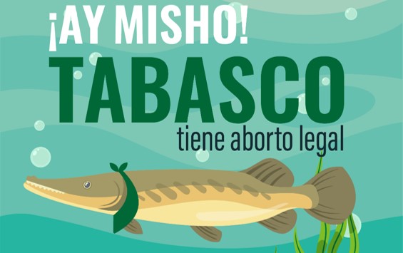 Imagen de GIRE
