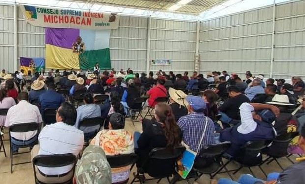 Consejo Supremo Indígena de Michoacán