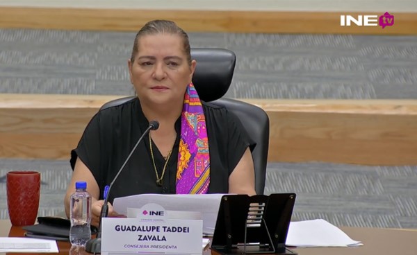 Guadalupe Taddei al finalizar cómputos de la elección judicial