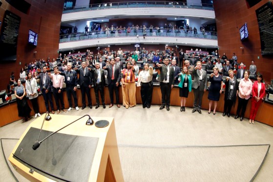 Nombra Senado por unanimidad a los 13 integrantes del Consejo Nacional de Búsqueda