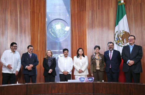 TEPJF Janine Otalora deja cargo